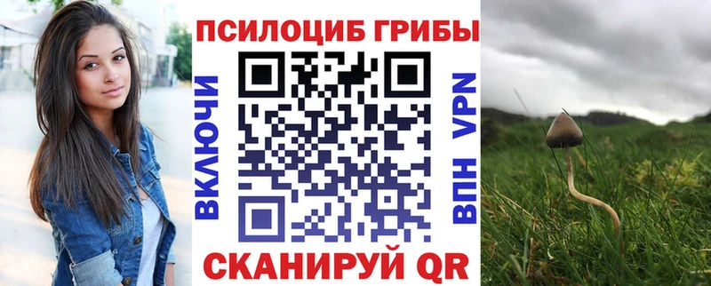 наркошоп Яранск Псилоцибиновые грибы GOLDEN TEACHER